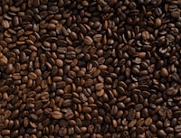 Roasted coffee beans